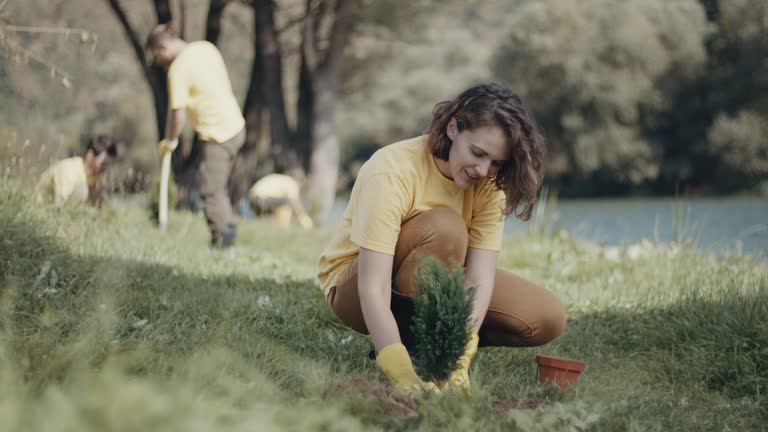 Best Root Management and Removal  in Fincastle, TN