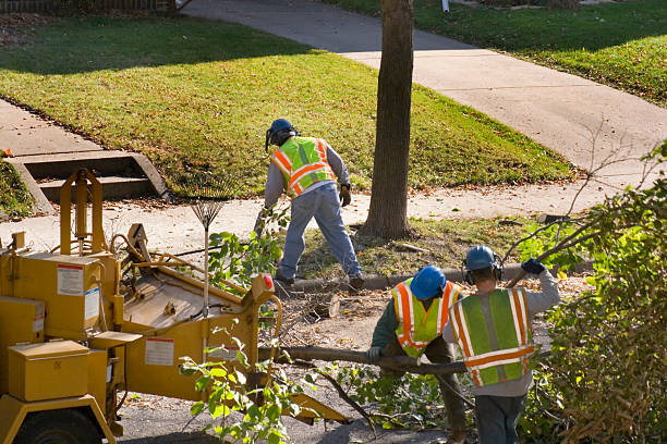 Best Utility Line Clearance  in Fincastle, TN