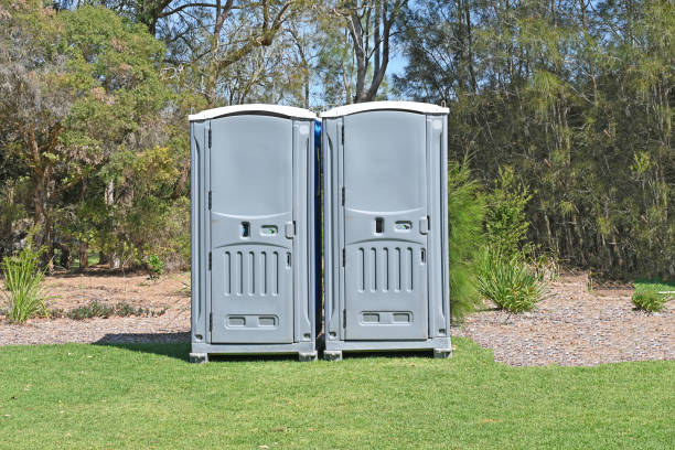 Best Lawn Maintenance Plans  in Fincastle, TN