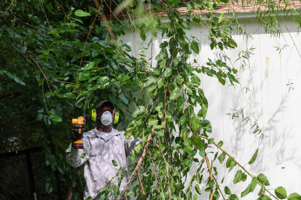 Best Arborist Consultation Services  in Fincastle, TN