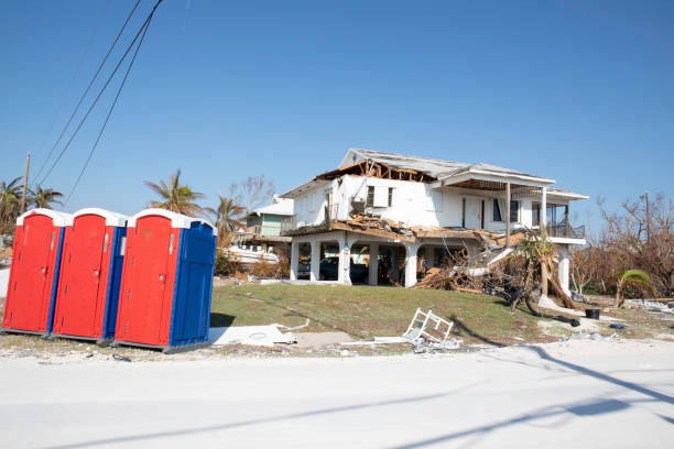 Best Storm Damage Tree Cleanup  in Fincastle, TN